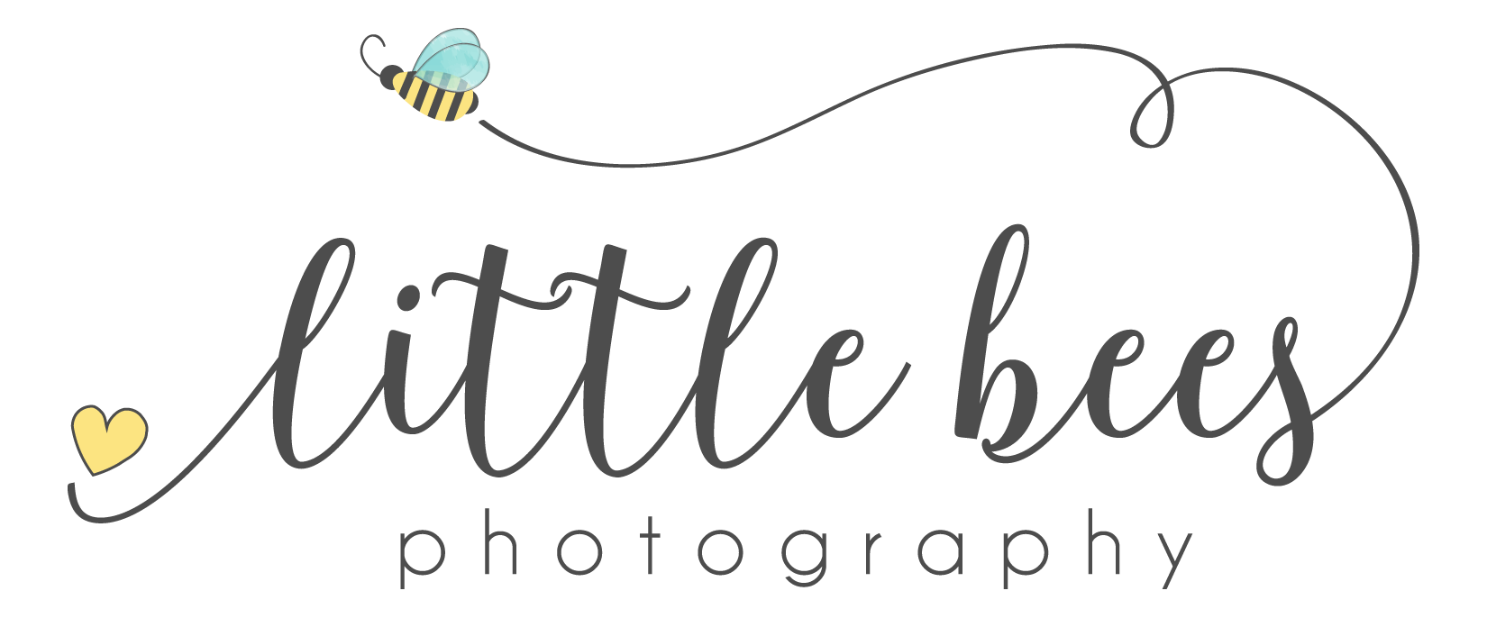 Little Bees Photography